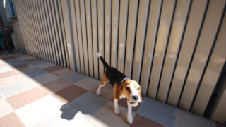 【No.67】 Ｕ様邸